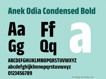 Anek Odia Condensed Bold Version 1.003图片样张