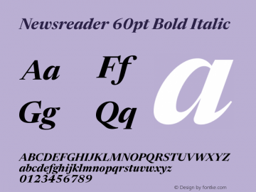 Newsreader 60pt Bold Italic Version 1.003图片样张