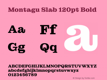 Montagu Slab 120pt Bold Version 1.000图片样张