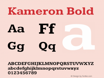 Kameron Bold Version 1.100图片样张