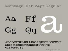 Montagu Slab 24pt Regular Version 1.000图片样张