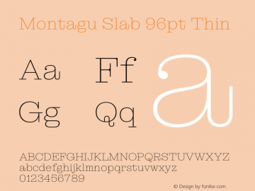 Montagu Slab 96pt Thin Version 1.000图片样张