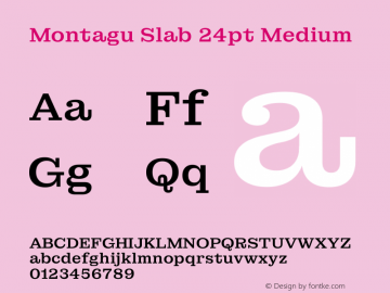 Montagu Slab 24pt Medium Version 1.000图片样张