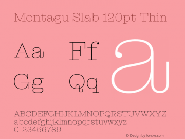 Montagu Slab 120pt Thin Version 1.000图片样张