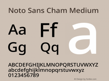 Noto Sans Cham Medium Version 2.004图片样张