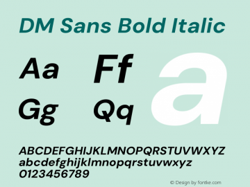 DM Sans Bold Italic Version 4.004;gftools[0.9.30]图片样张