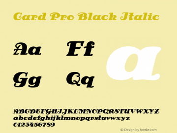 CardPro-BlackItalic Version 1.00图片样张