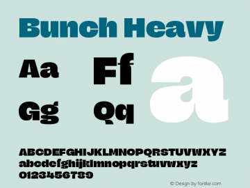 Bunch Heavy Version 1.020;Glyphs 3.1.2 (3151)图片样张