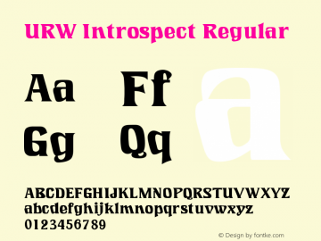 URWIntrospect-Book Version 1.00图片样张