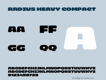 Radius-HeavyCompact Version 1.000;FEAKit 1.0图片样张