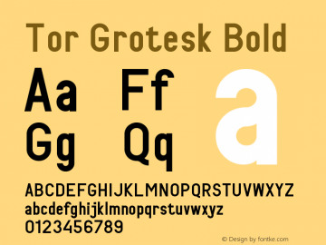 TorGrotesk-Bold Version 1.001;FEAKit 1.0图片样张