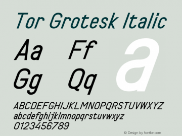 TorGrotesk-Italic Version 1.001;FEAKit 1.0图片样张