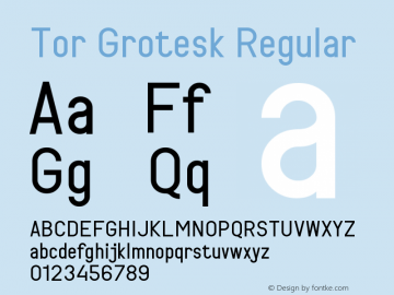 TorGrotesk-Regular Version 1.001;FEAKit 1.0图片样张