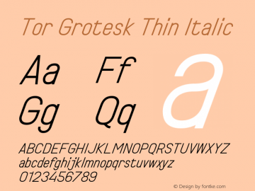 TorGrotesk-ThinItalic Version 1.001;FEAKit 1.0图片样张