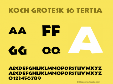 KochGrotesk-16Tertia Version 1.0图片样张