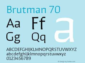 Brutman-70 Version 1.100;FEAKit 1.0图片样张