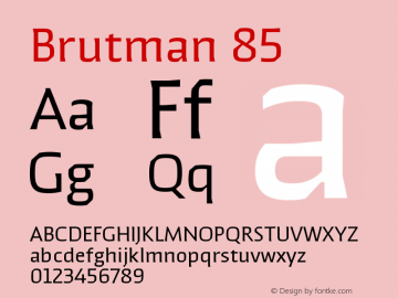Brutman-85 Version 1.100;FEAKit 1.0图片样张