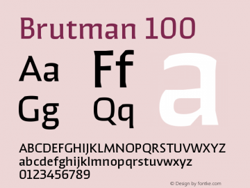 Brutman-100 Version 1.100;FEAKit 1.0图片样张