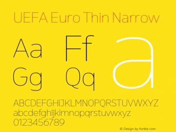 UEFA Euro Thin Narrow Version 1.000;FEAKit 1.0图片样张