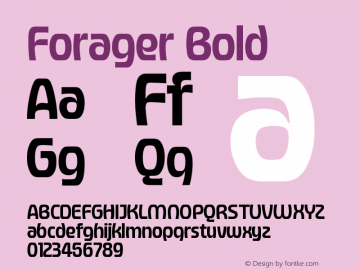 Forager-Bold Version 1.000;Glyphs 3.1.2 (3151);fontTools/otf2ttf 4.10.2; ttfautohint (v1.8.3)图片样张