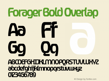 Forager-BoldOverlap Version 1.000;Glyphs 3.1.2 (3151);fontTools/otf2ttf 4.10.2; ttfautohint (v1.8.3)图片样张