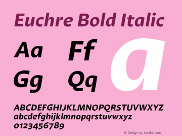 Euchre Bold Italic Version 1.00图片样张