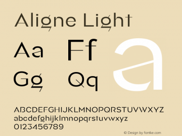 Aligne Light Version 2.100图片样张