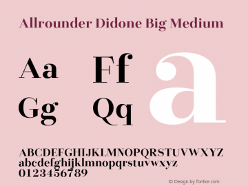 Allrounder Didone Big Medium Version 1.000;Glyphs 3.2 (3249)图片样张
