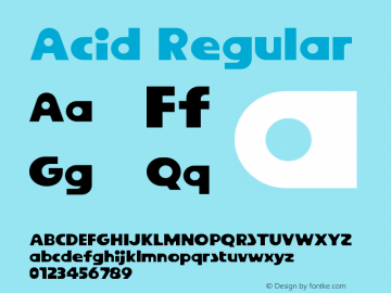 Acid Regular Version 1.000 | WF图片样张