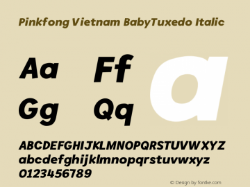 Pinkfong Vietnam BabyTuxedo Italic Version 3.00图片样张