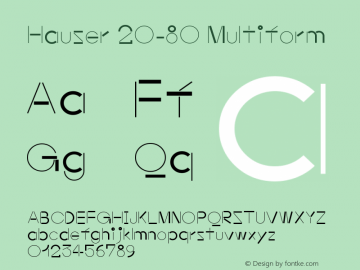 Hauser-2080Multiform Version 1.002;PS 001.002;hotconv 1.0.88;makeotf.lib2.5.64775;fontTools/otf2ttf 4.10.2; ttfautohint (v1.8.3)图片样张