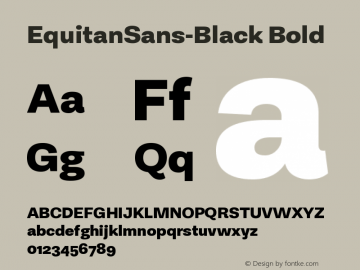 EquitanSans-Black Version 1.0;com.myfonts.easy.indian-type-foundry.equitan-sans.black.wfkit2.version.4x1E图片样张