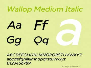 Wallop Medium Italic Version 3.003;Glyphs 3.1.1 (3138)图片样张