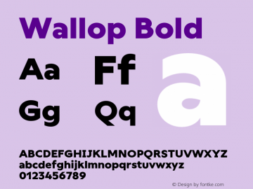 Wallop Bold Version 3.003;Glyphs 3.1.1 (3138)图片样张