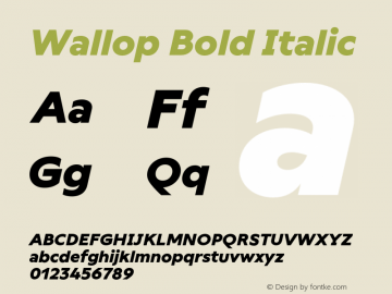 Wallop Bold Italic Version 3.003;Glyphs 3.1.1 (3138)图片样张