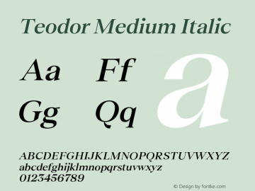 Teodor Medium Italic Version 3.000;Glyphs 3.1.1 (3137)图片样张