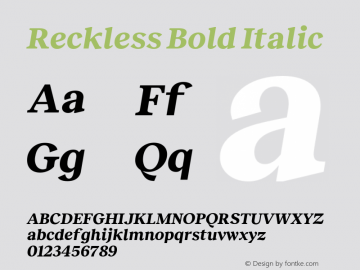 Reckless Bold Italic Version 3.000;Glyphs 3.1.1 (3137)图片样张