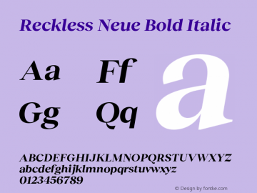 Reckless Neue Bold Italic Version 3.000;Glyphs 3.1.1 (3137)图片样张