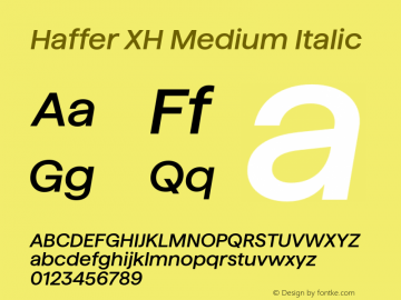 Haffer XH Medium Italic Version 1.004;Glyphs 3.1.1 (3138)图片样张