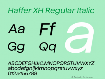 Haffer XH Regular Italic Version 1.004;Glyphs 3.1.1 (3138)图片样张