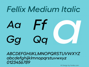 Fellix Medium Italic Version 3.000;Glyphs 3.1.1 (3137)图片样张