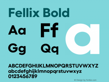 Fellix Bold Version 3.000;Glyphs 3.1.1 (3137)图片样张