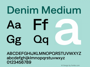 Denim Medium Version 4.000;Glyphs 3.2 (3181)图片样张