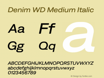 Denim WD Medium Italic Version 4.000;Glyphs 3.2 (3186)图片样张