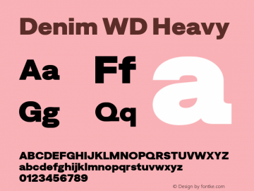 Denim WD Heavy Version 4.000;Glyphs 3.2 (3186)图片样张