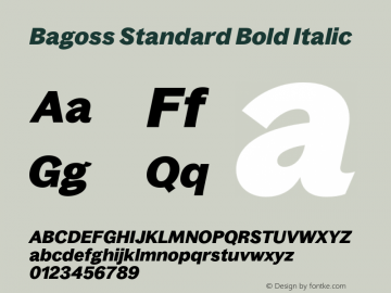 Bagoss Standard Bold Italic Version 4.000;Glyphs 3.2 (3245)图片样张