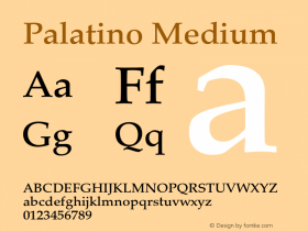 Palatino-Medium Version 001.000图片样张
