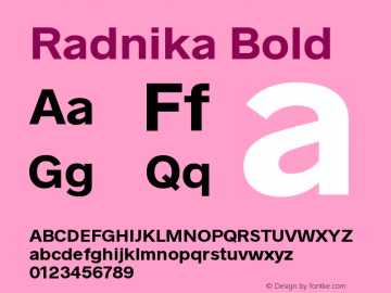 Radnika Bold Version 1.0图片样张