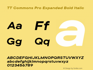 TT Commons Pro Expanded Bold Italic Version 3.400.03042024图片样张