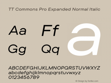 TT Commons Pro Expanded Normal Italic Version 3.400.03042024图片样张